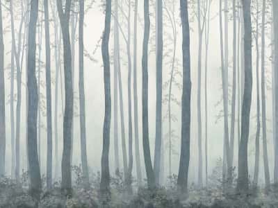 Fototapeta Gęsta mgła w lesie