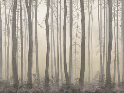 Fototapeta Wieczór w mglistym lesie